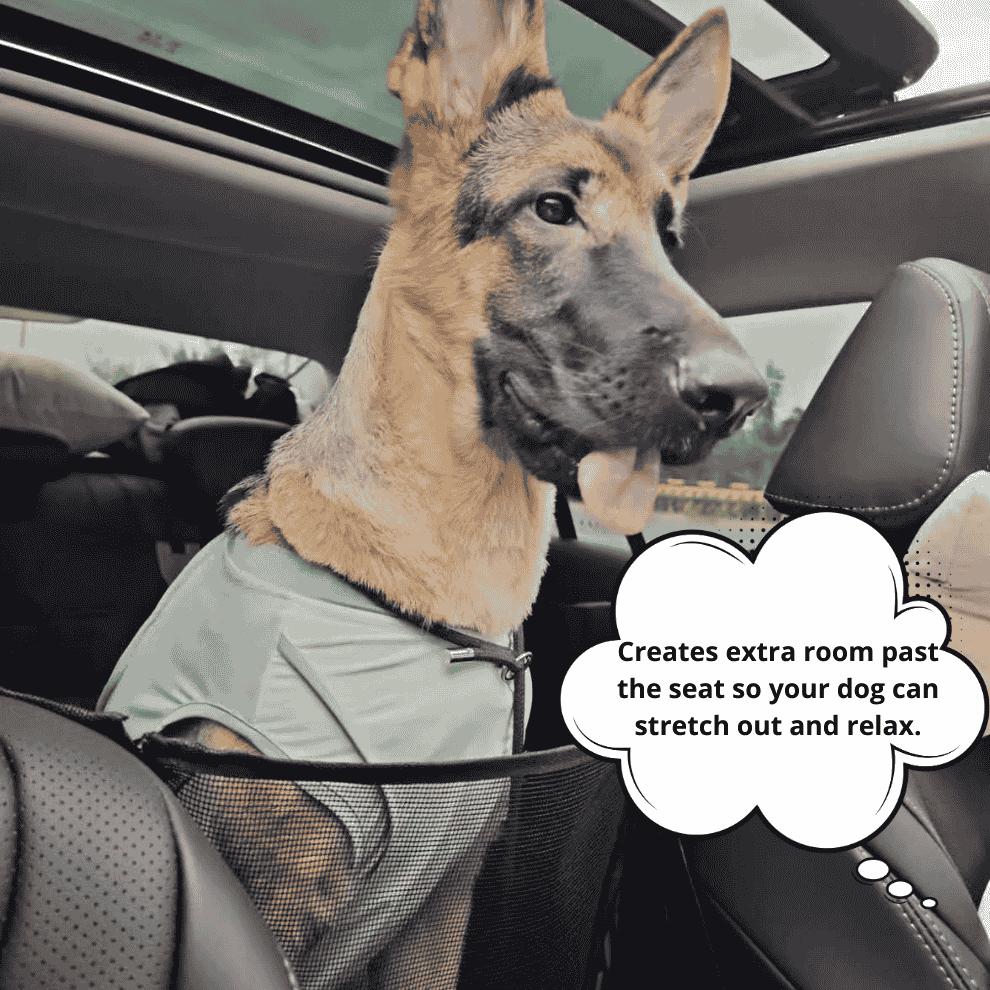 PawFix RideGuard™