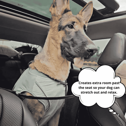 PawFix RideGuard™