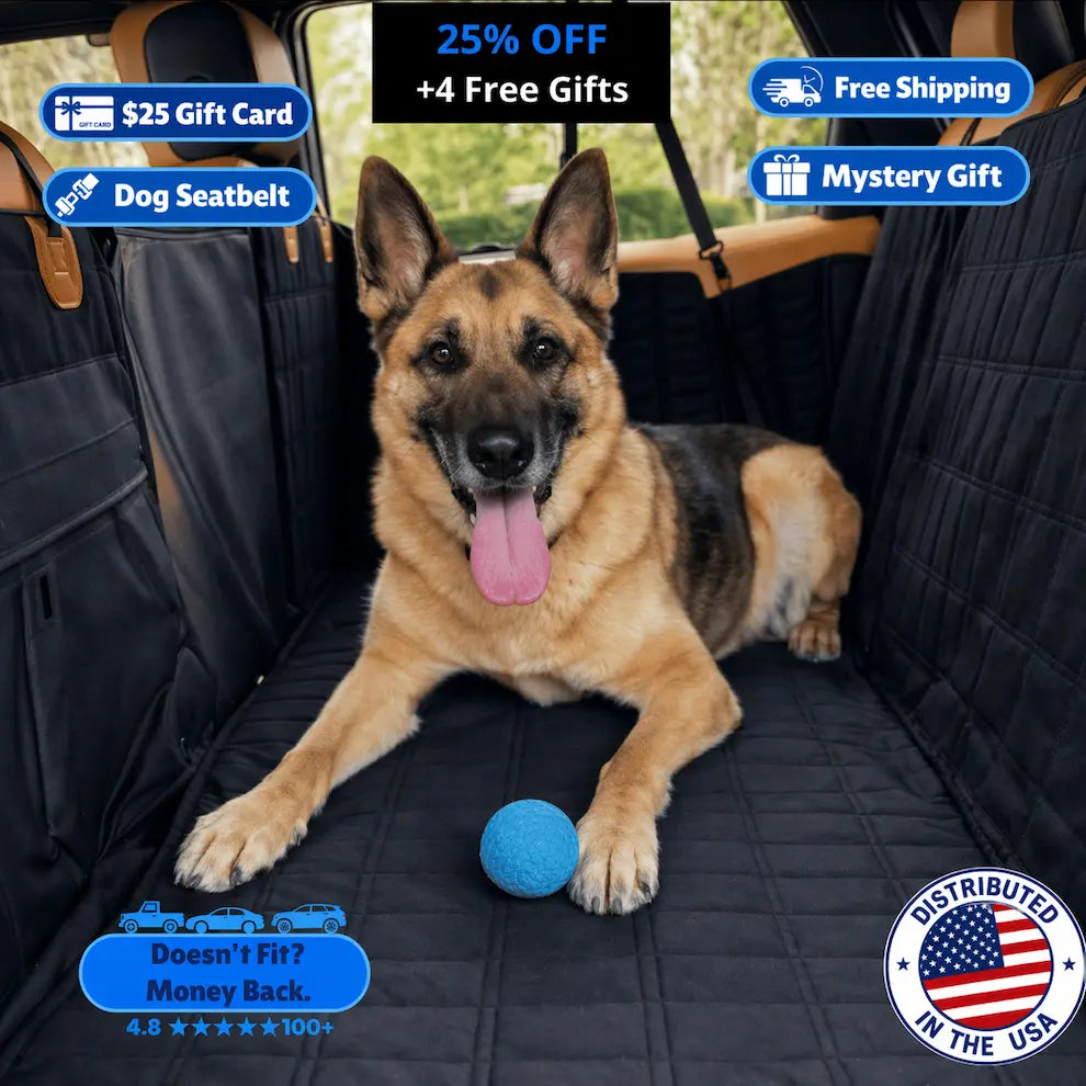 PawFix RideGuard™