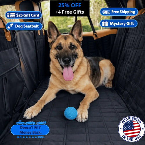 PawFix RideGuard™